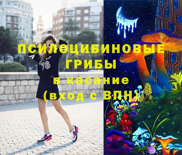 круглые Богородск