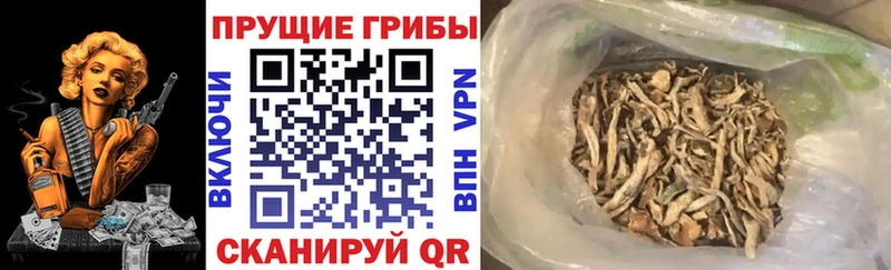 Галлюциногенные грибы мухоморы Дятьково